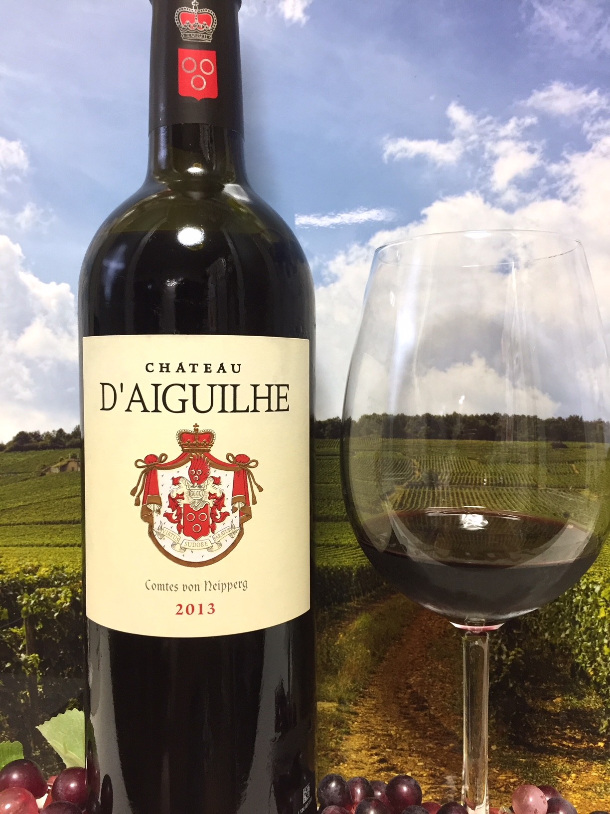 Chateau D Aiguilhe 13 Aoc Castillon Cotes De Bordeaux Red Red Wine 偉いワイン 探しの備忘録