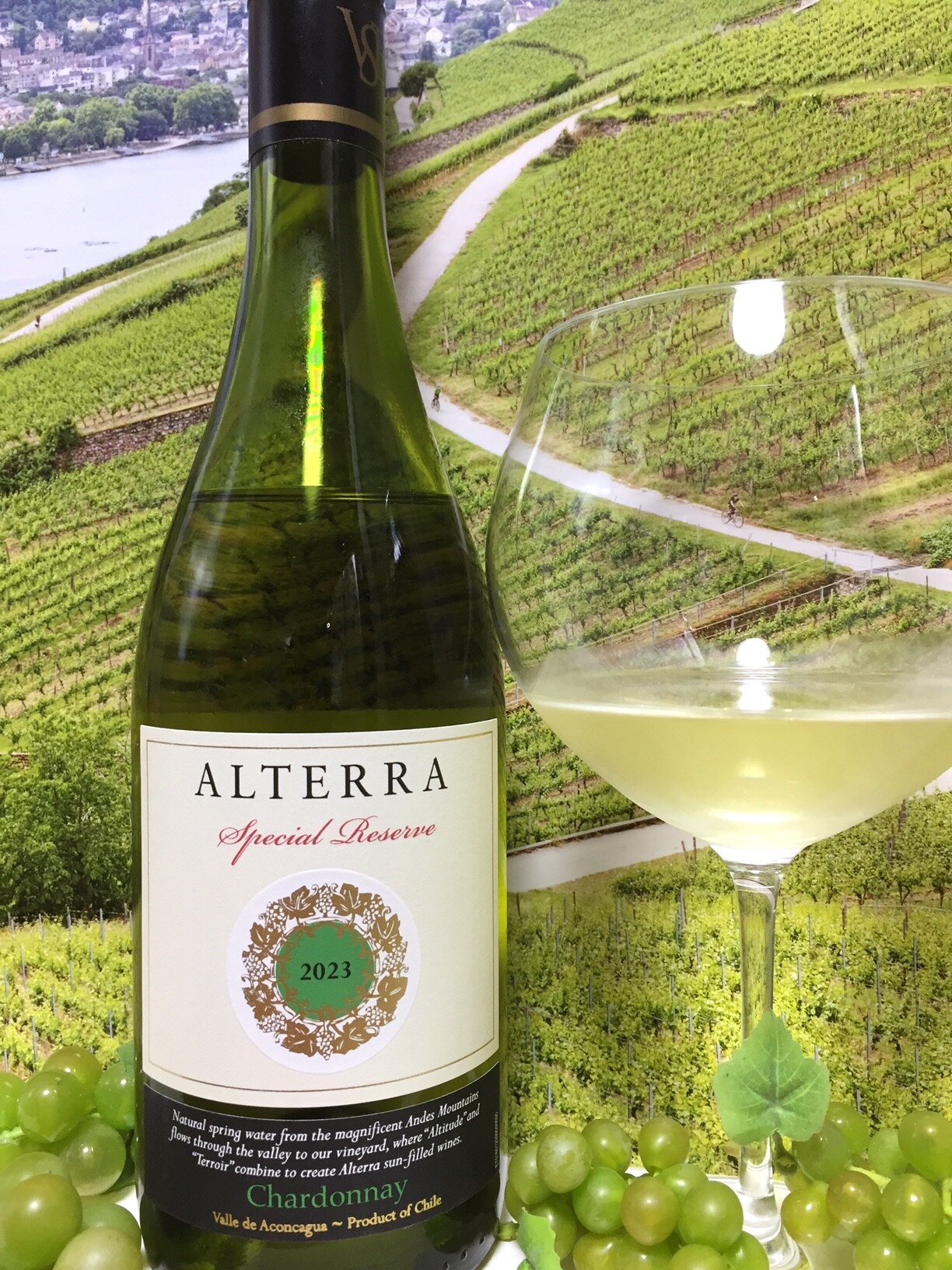 Viña San Esteban Alterra Chardonnay 2013 Special Reserve : Red Red  Wine：「偉いワイン」探しの備忘録（ワインブログ）