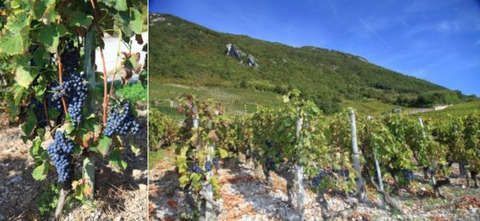 Savoie001