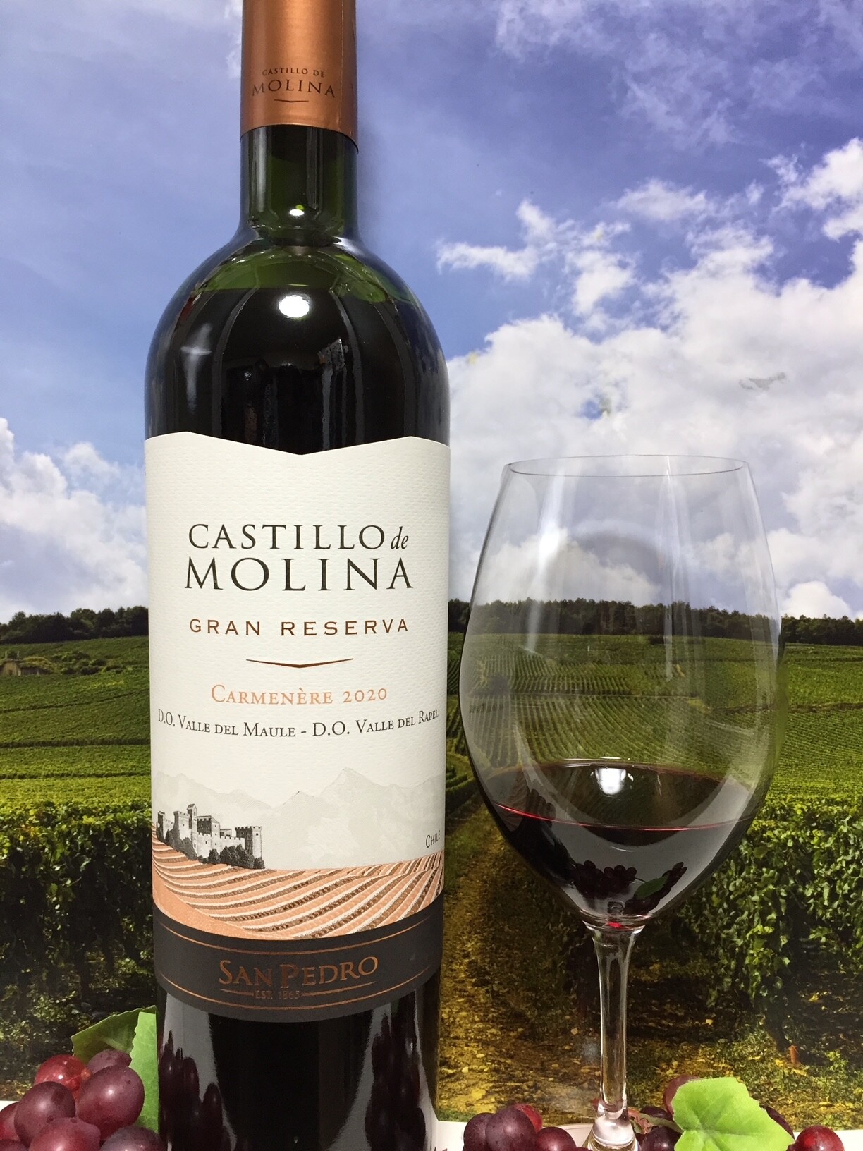 San Pedro Castillo de Molina Carmenère Gran Reserva 2020 : Red Red