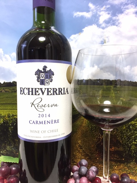 チリワイン Red Red Wine 偉いワイン 探しの備忘録