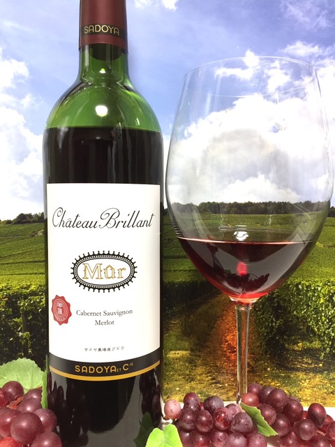 サドヤ シャトーブリヤン ミュール 赤 : Red Red Wine：「偉いワイン