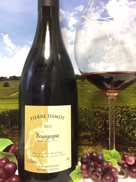 Pierre Damoy Bourgogne 2012 : Red Red Wine:「偉いワイン Pierre Damoy Bourgogne 2012 : Red Red Wine:「偉いワイン