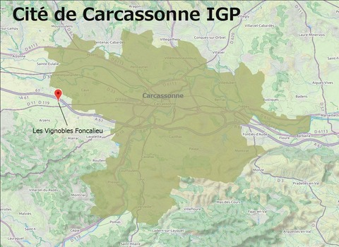 Carcassonne02