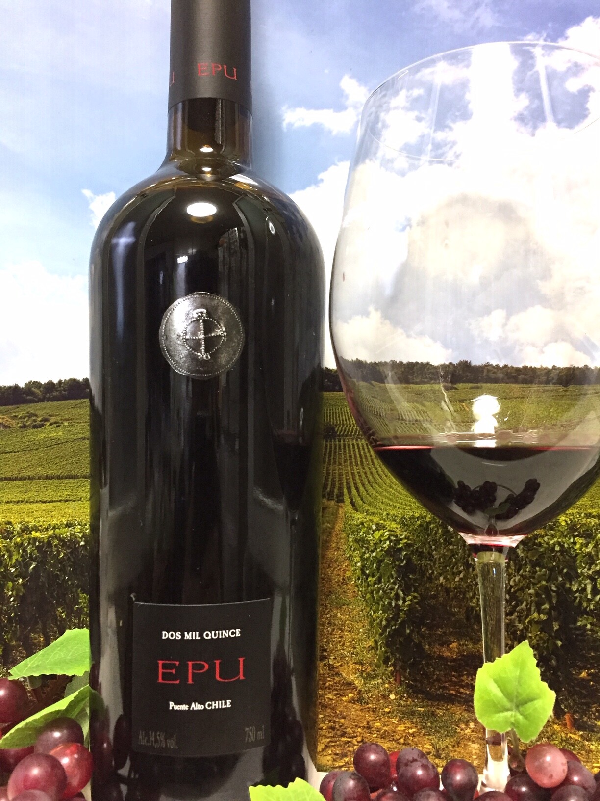 アルマヴィーヴァ 2004年 Almaviva 750ml アルマヴィーヴァ 2004 750ml