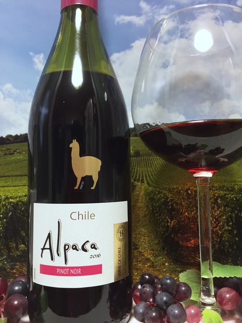 AlpacaPinotNoir