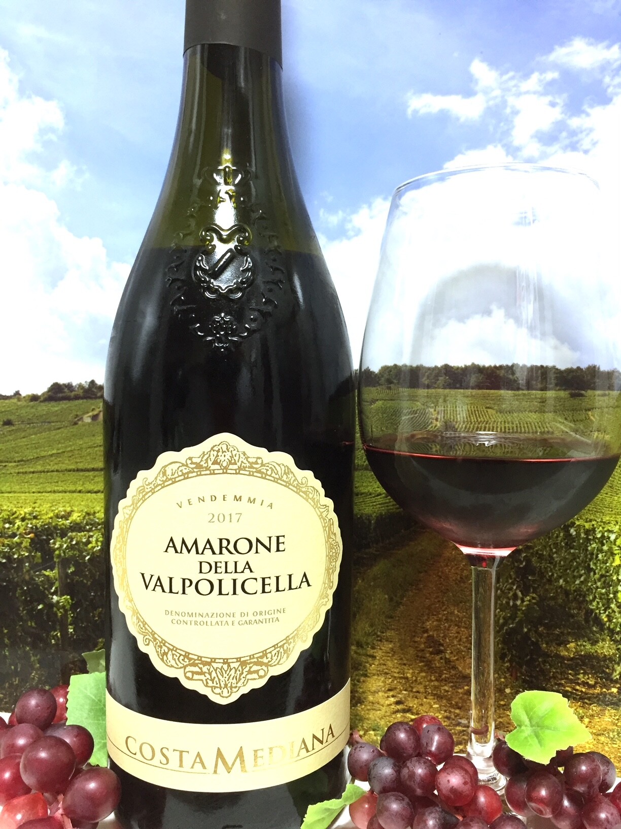Costa Mediana Amarone della Valpolicella 2017 : Red Red Wine 