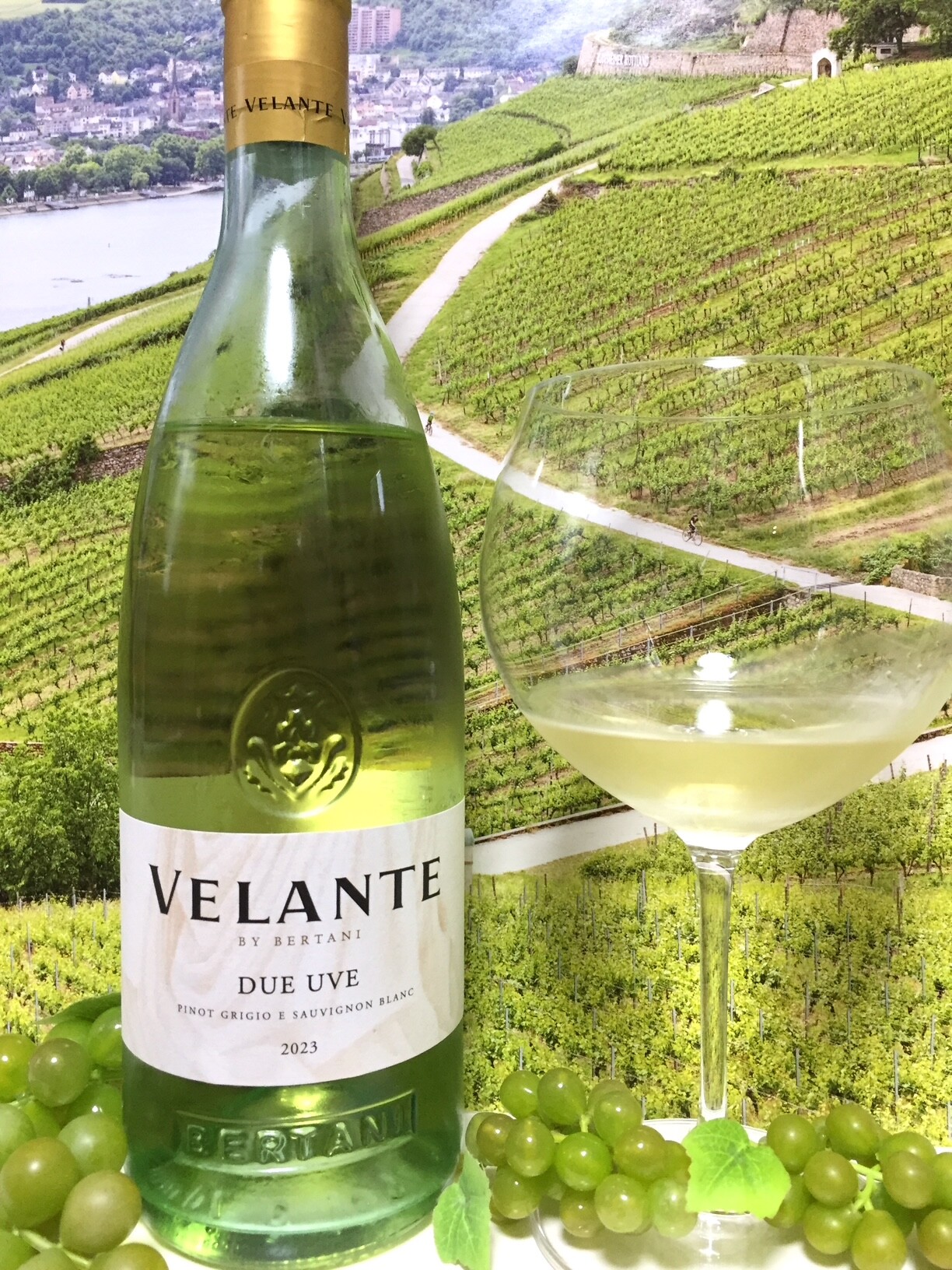 Velante by Bertani Due Uve Pinot Grigio e Sauvignon Blanc 2023 Bianco  Friuli DOC : Red Red Wine：「偉いワイン」探しの備忘録（ワインブログ）
