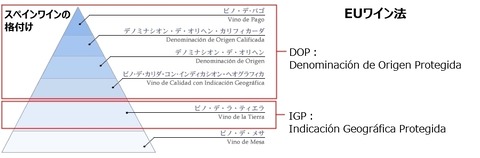 Spain_Wine_Clase