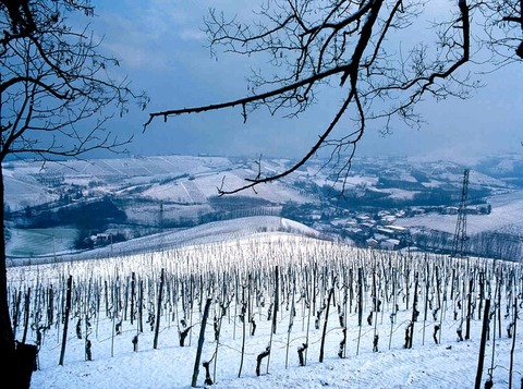 prunotto_winter