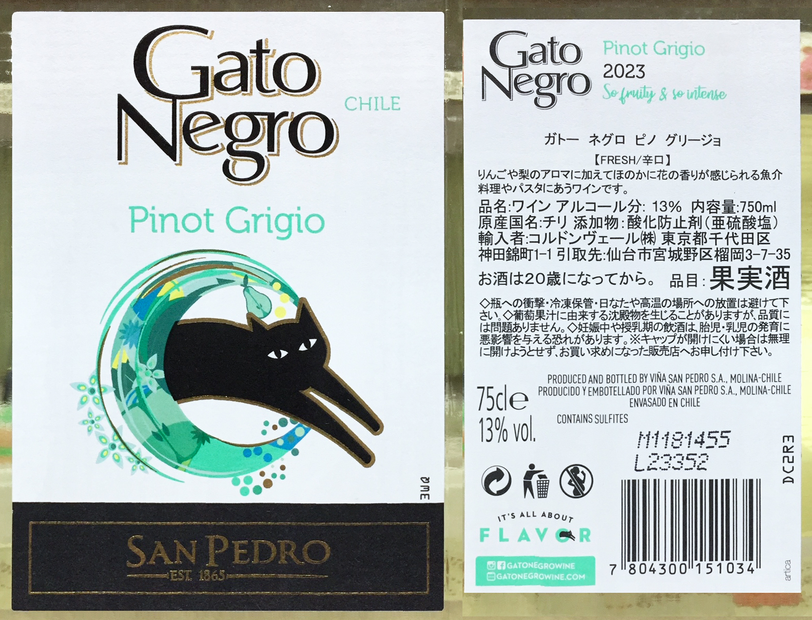San Pedro Gato Negro Pinot Grigio 2023 : Red Red Wine：「偉い