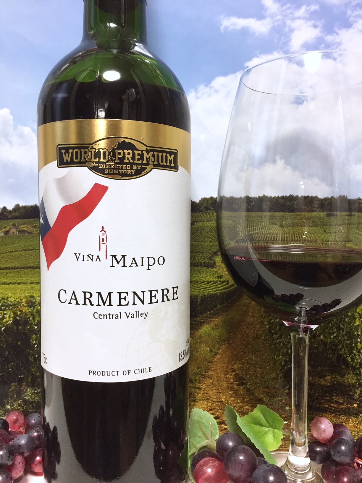 ワールドプレミアム チリ カルメネール Vina Maipo Carmenere 16 Red Red Wine 偉いワイン 探しの備忘録
