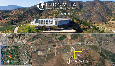 Indomita01