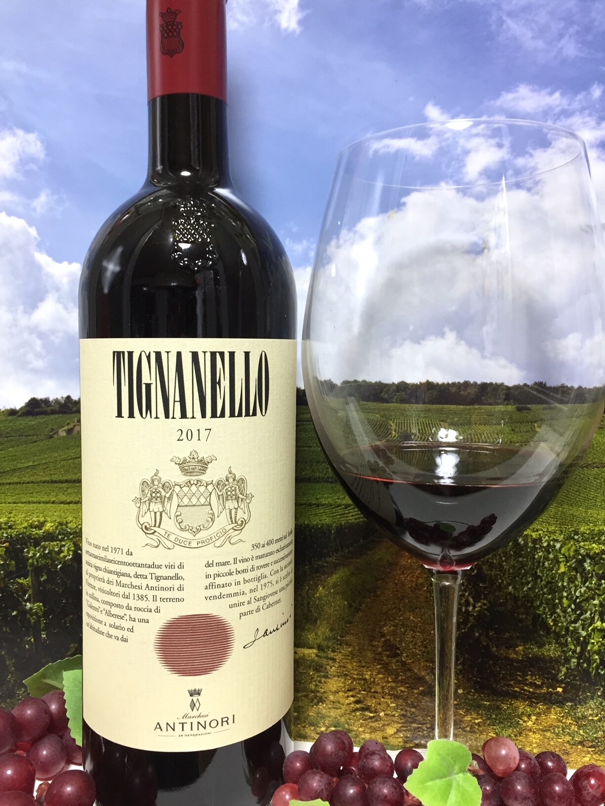 Antinori Tignanello 2017 Toscana IGT : Red Red Wine：「偉いワイン 