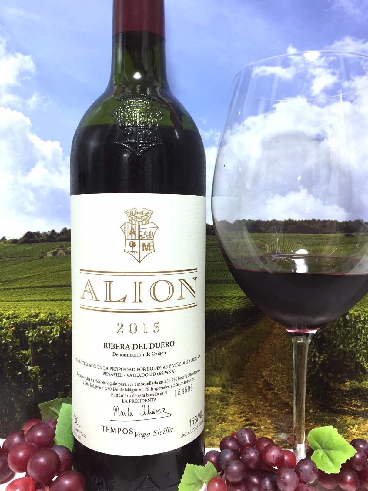Tempos Vega Sicilia Alión 2015 Ribera del Duero : Red Red Wine