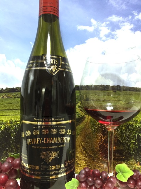 Camus Père & Fils Gevrey-Chambertin 2013（比較試飲2） : Red