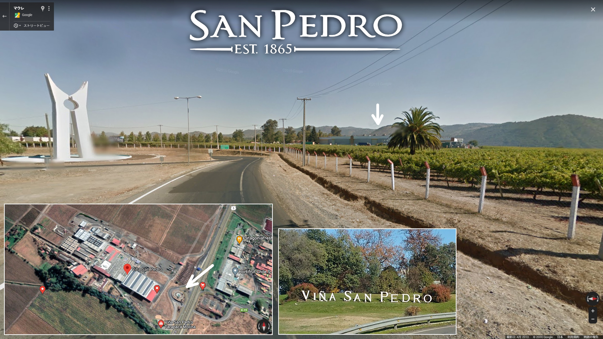 San Pedro Castillo de Molina Carmenère Gran Reserva 2020 : Red Red 