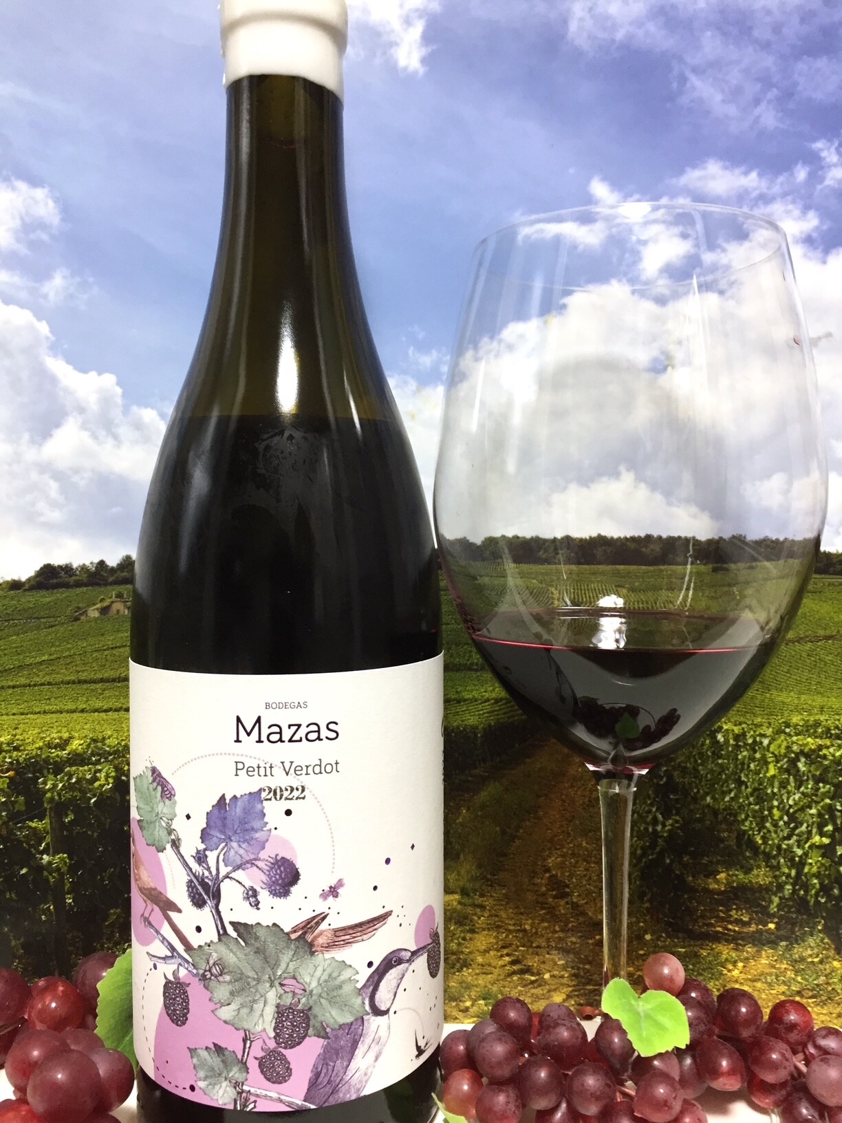 Bodegas Mazas Petit Verdot 2022 : Red Red Wine：「偉いワイン」探し