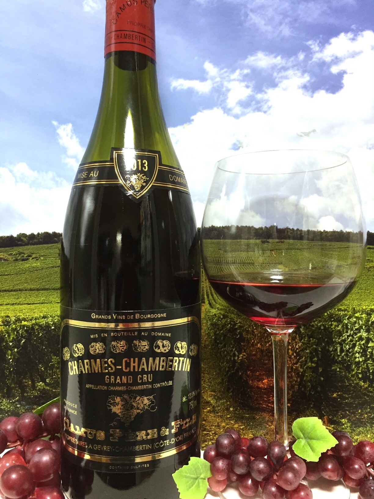 Camus Père & Fils Charmes-Chambertin Grand Cru 2013（比較試飲1