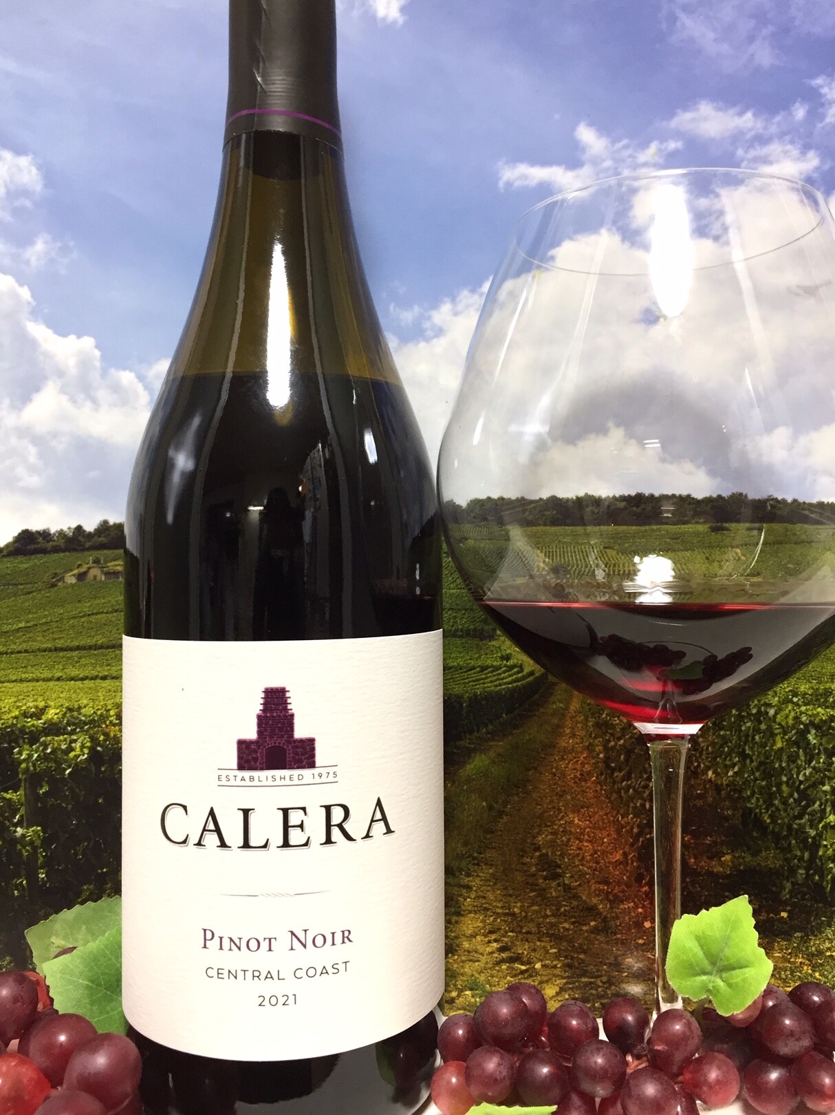 CALERA Pinot Noir 2021 セントラルコースト