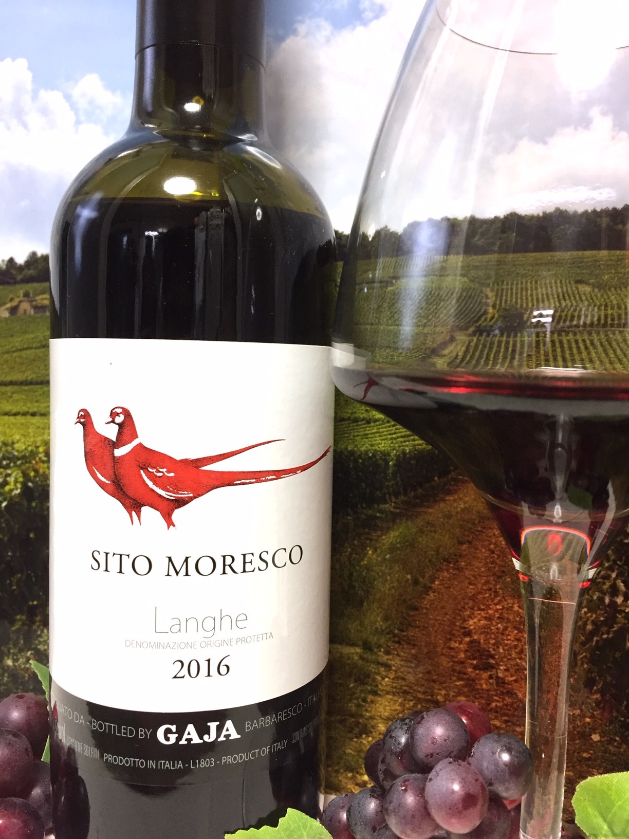 GAJA Sito Moresco 2016 : Red Red Wine：「偉いワイン」探しの