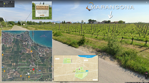Maragona0