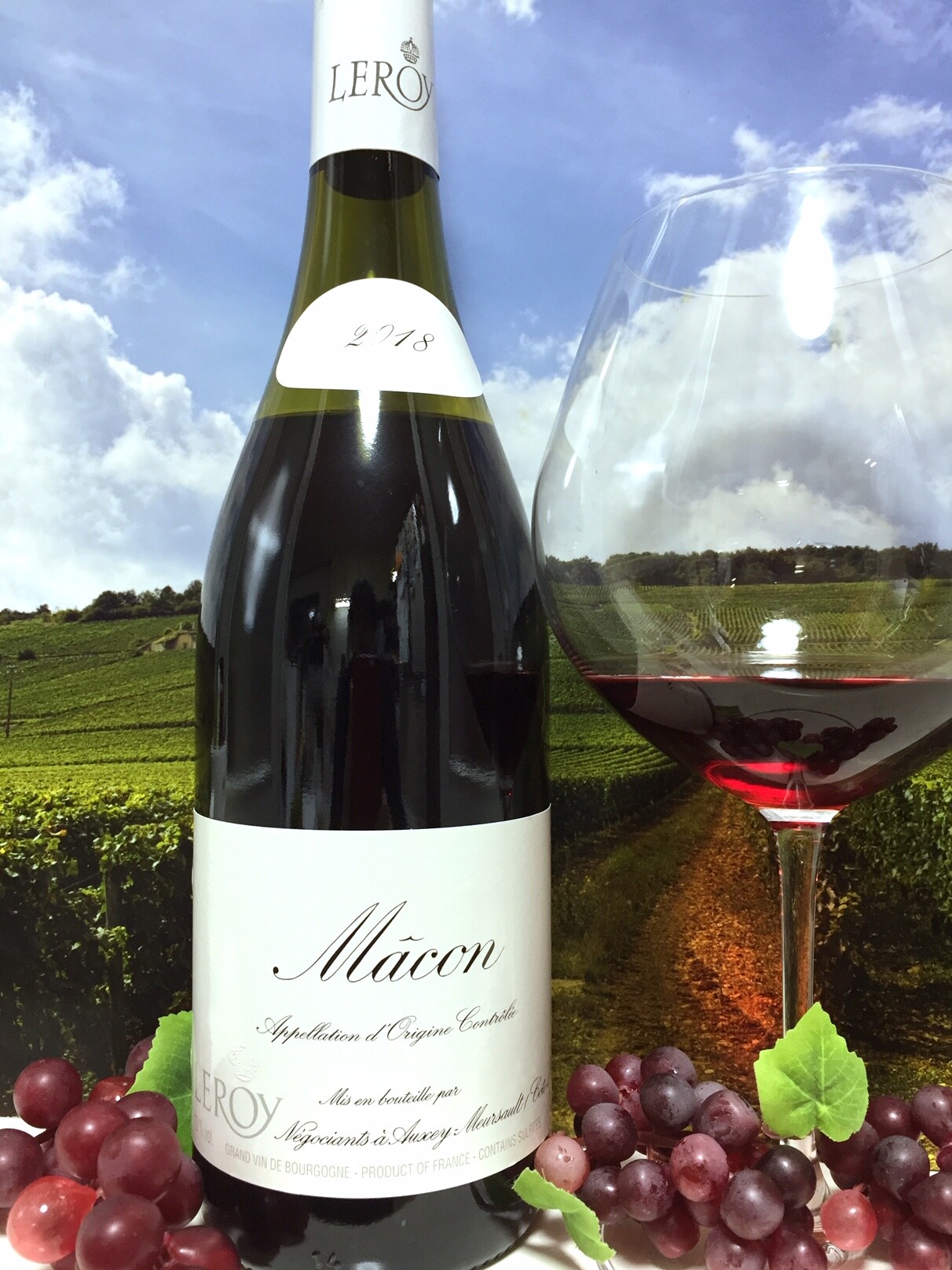 ルロワ 2本セット/ボージョレヴィラージュ(赤), マコンヴィラージュ(白