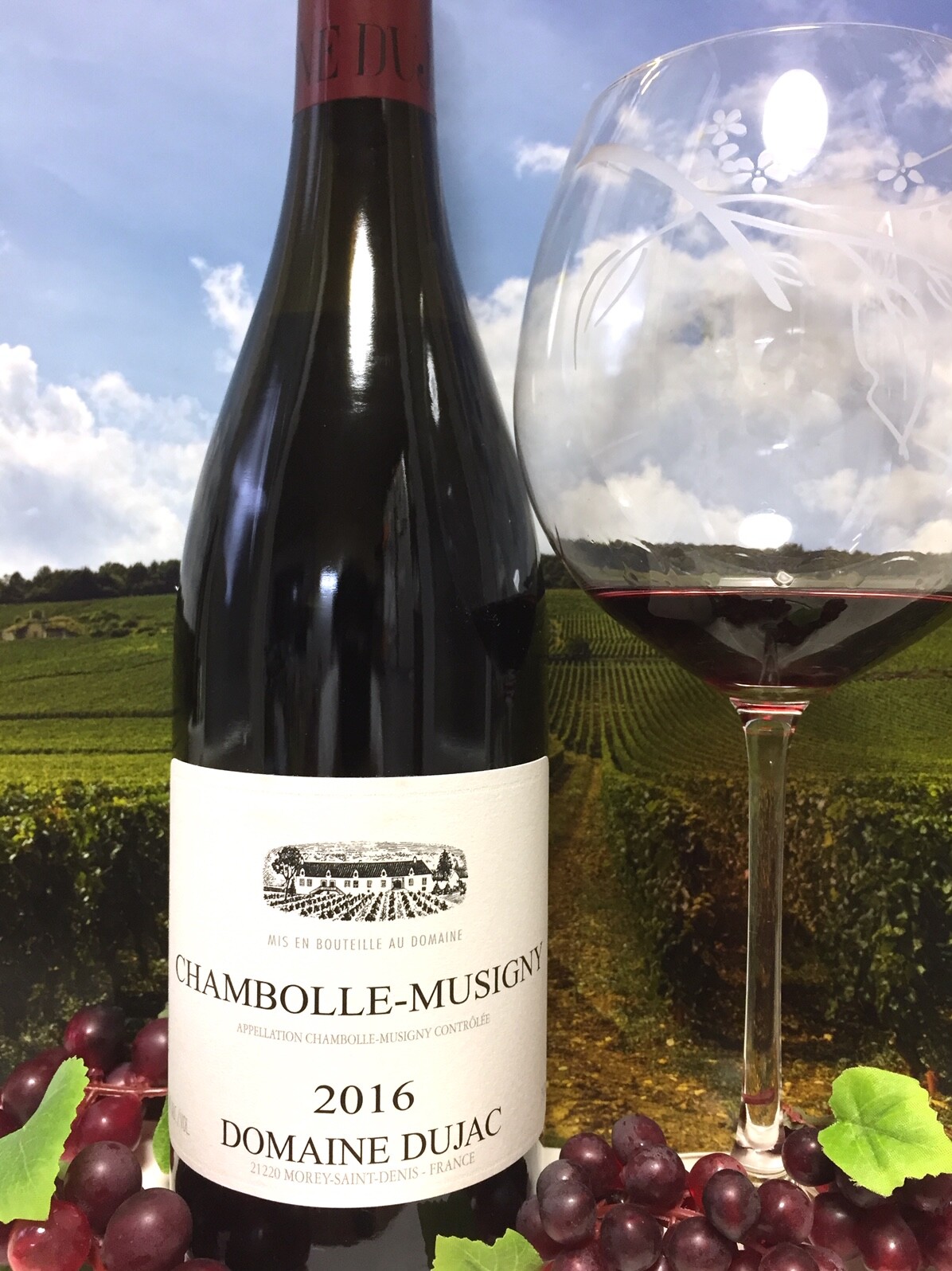 ドメーヌ・デュジャック シャンボール・ミュジニー 2020 3本セット ドメーヌ・デュジャック シャンボール・ミュジニー 2020 3本セット