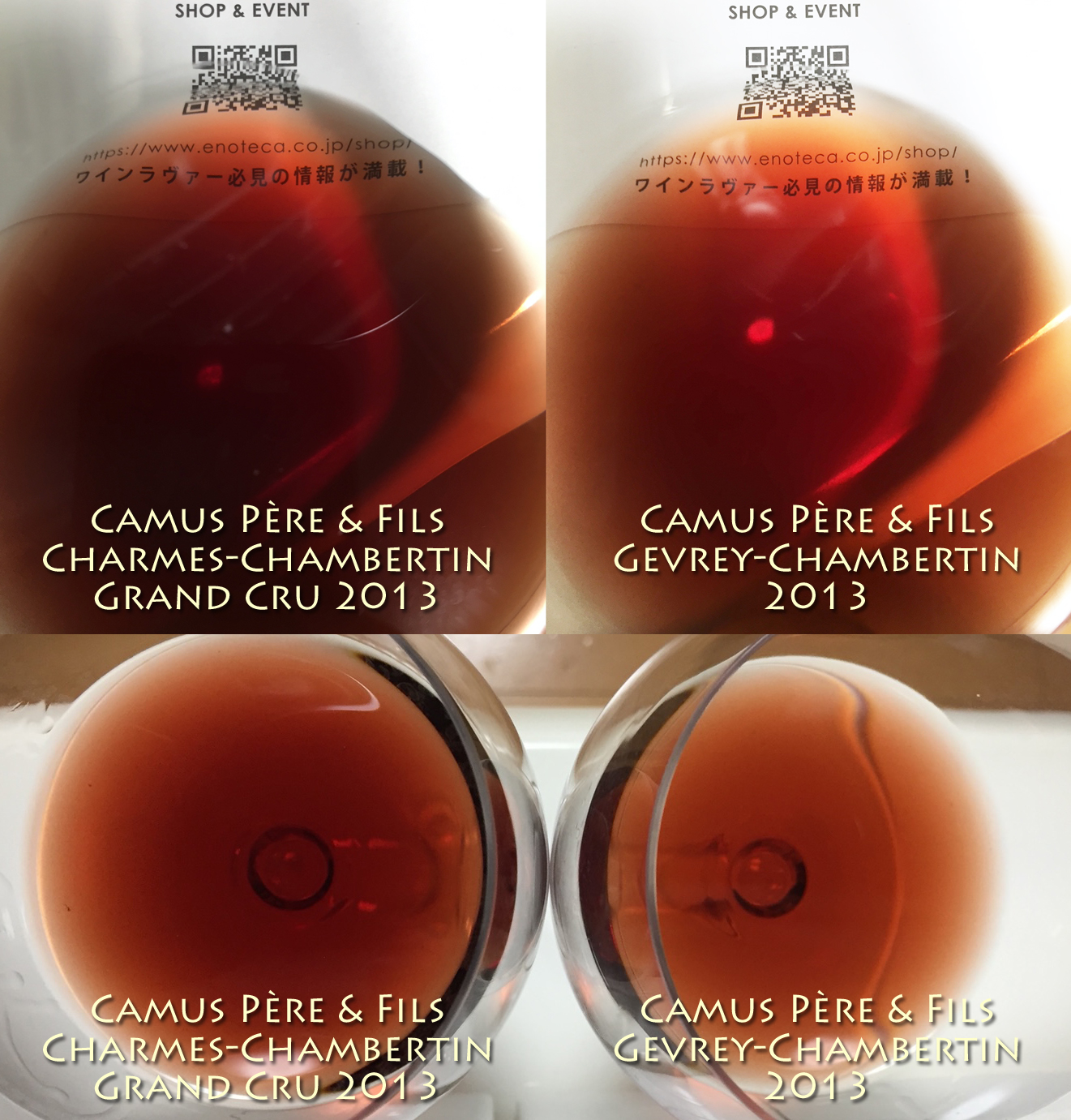 Camus Père & Fils Gevrey-Chambertin 2013（比較試飲2） : Red