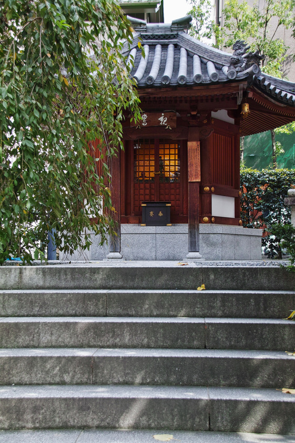 SDQ_0946