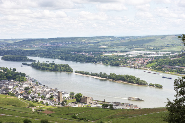 Rüdesheim / Rheingau