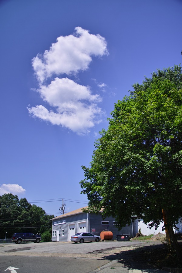 SDIM0811