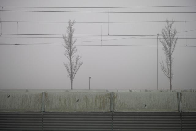 Foggy Scene