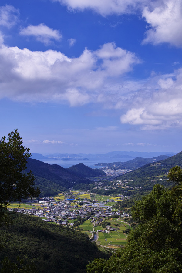 SDIM4867