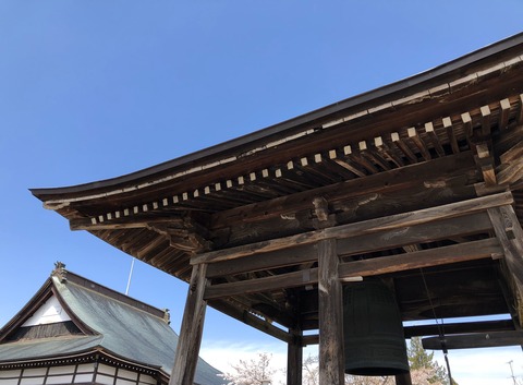 jyokyojisakura2020