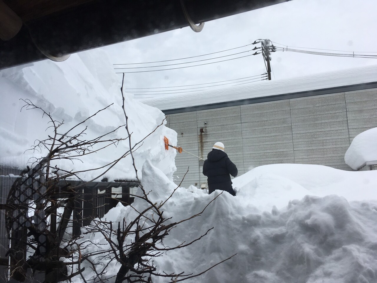 街のスター集団登場 雪庇落とし奮戦録 斎京四郎ブログ