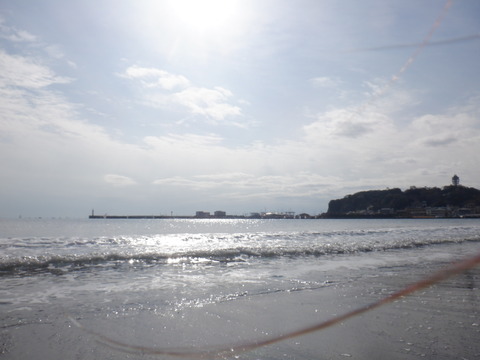 DSCF0868
