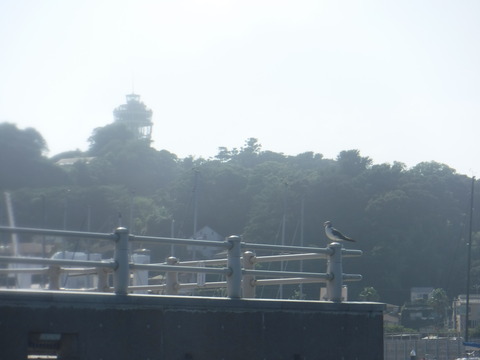 DSCF1935