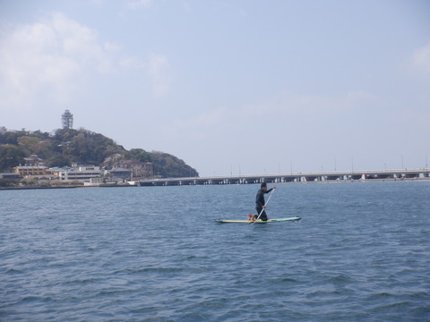 DSCF0562