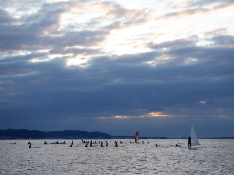 DSCF0636