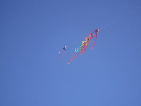 DSCF1242