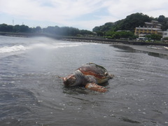 DSCF1693
