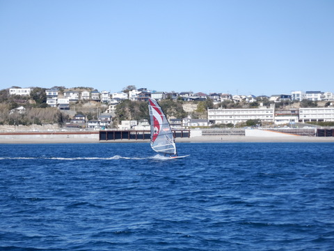 DSCF1146