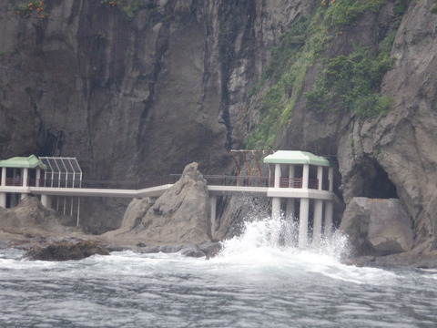DSCF0227