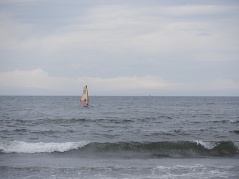 DSCF0129