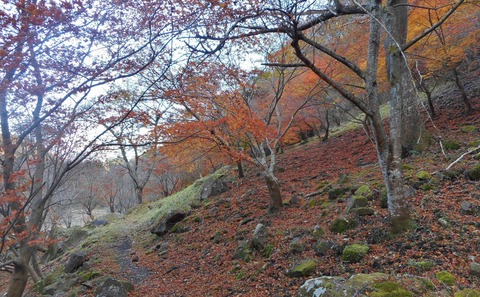DSCN7432