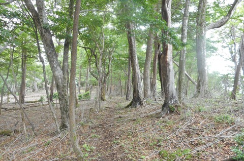 DSCN1992