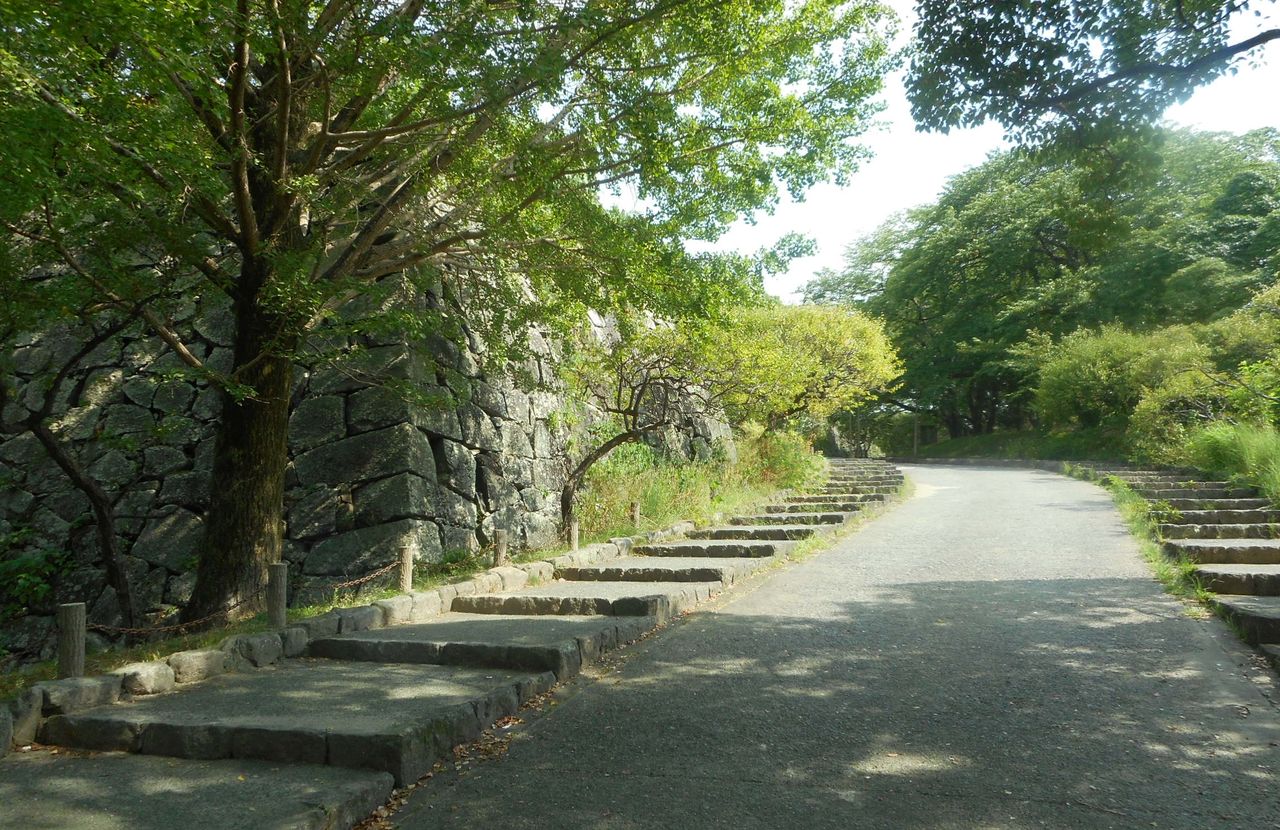 福岡城 黒田官兵衛の最高傑作 大分で遊ぼう 福岡城 黒田官兵衛の最高傑作 大分で遊ぼう
