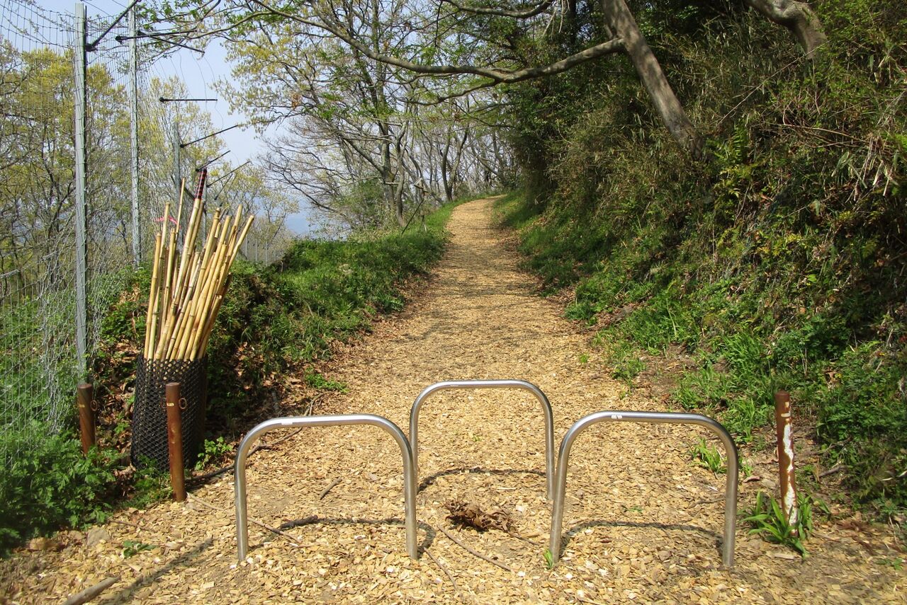 高崎山 登山道のサル観察日記 年4月 大分で遊ぼう 高崎山 登山道のサル観察日記 年4月 大分で遊ぼう