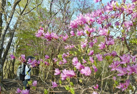DSCN0806a